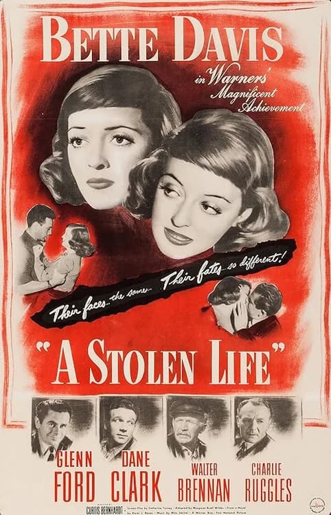 A Stolen Life film posteri