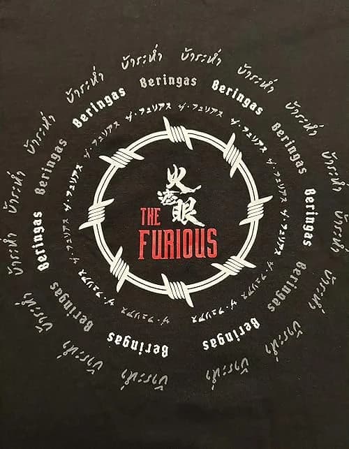 The Furious film posteri